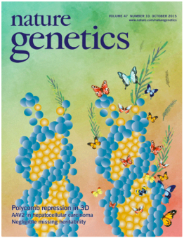 myacademia.zone associate research journal #18