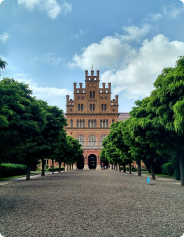 admission essay writing